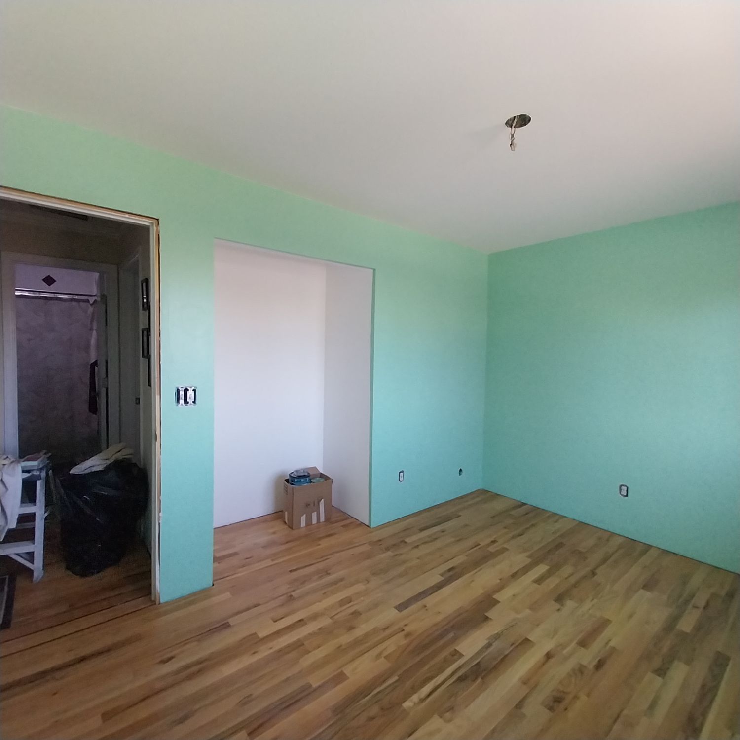 An empty room with green walls and wooden floors