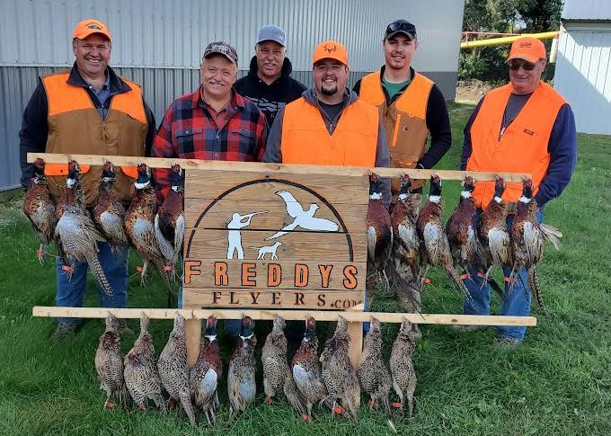 pheasant hunt in North Dakota