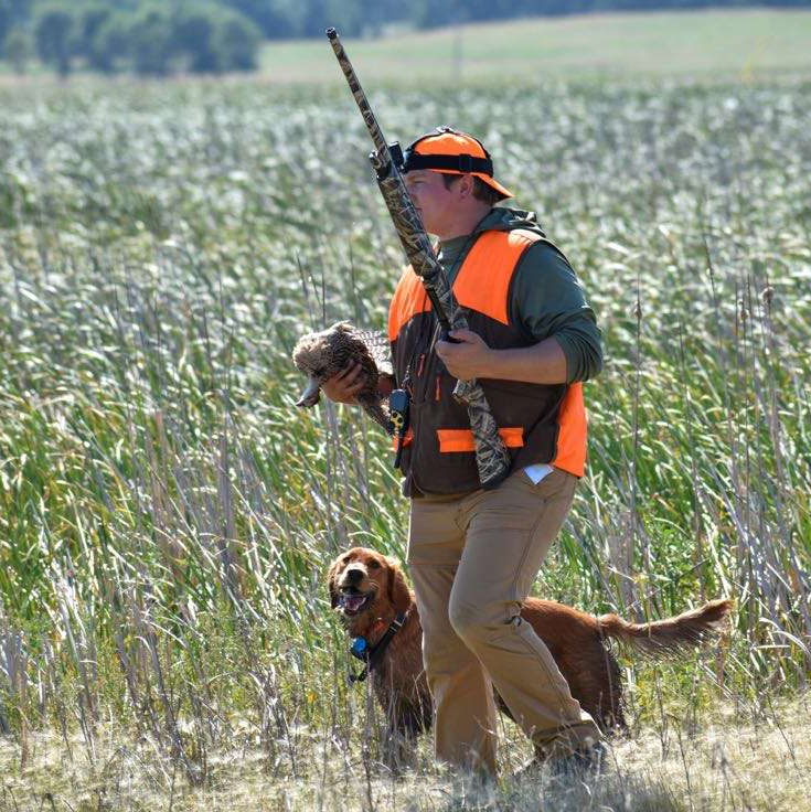 pheasant hunt in ND