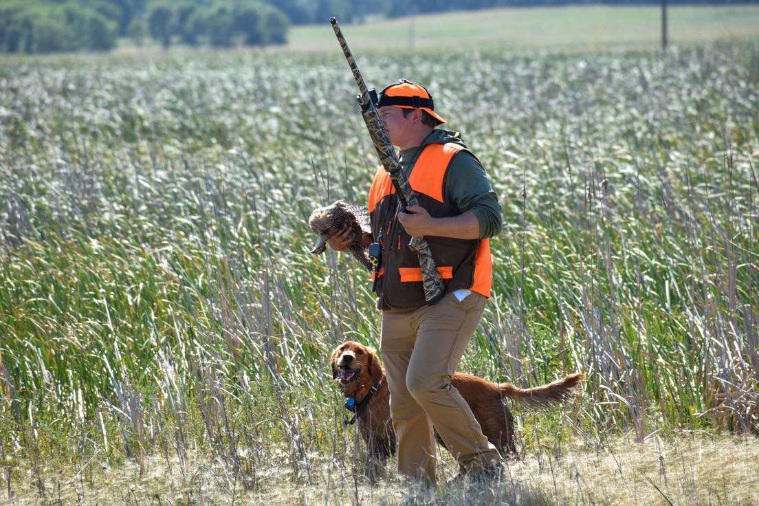 ND Pheasant Hunting