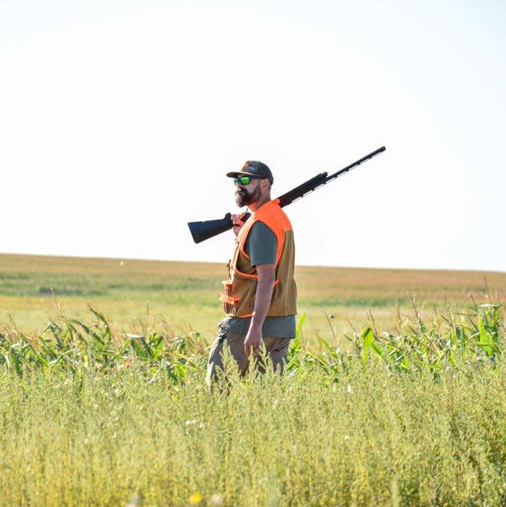 ND pheasant hunting