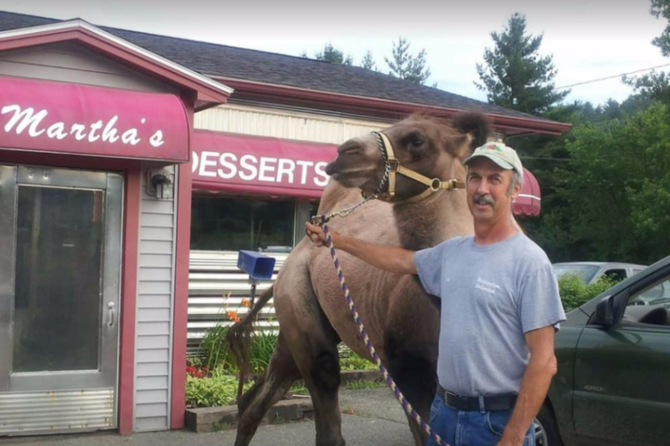 Martha's Diner Coventry, Vermont