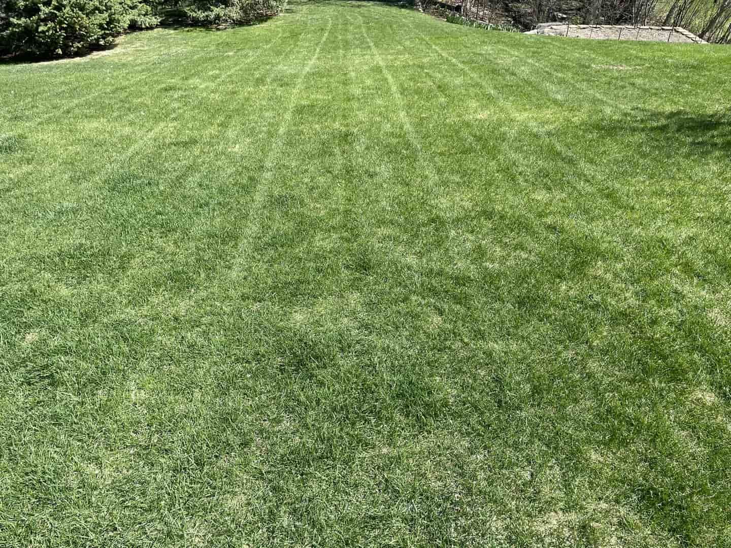 Lush green lawn with distinct mowing stripes in a yard.