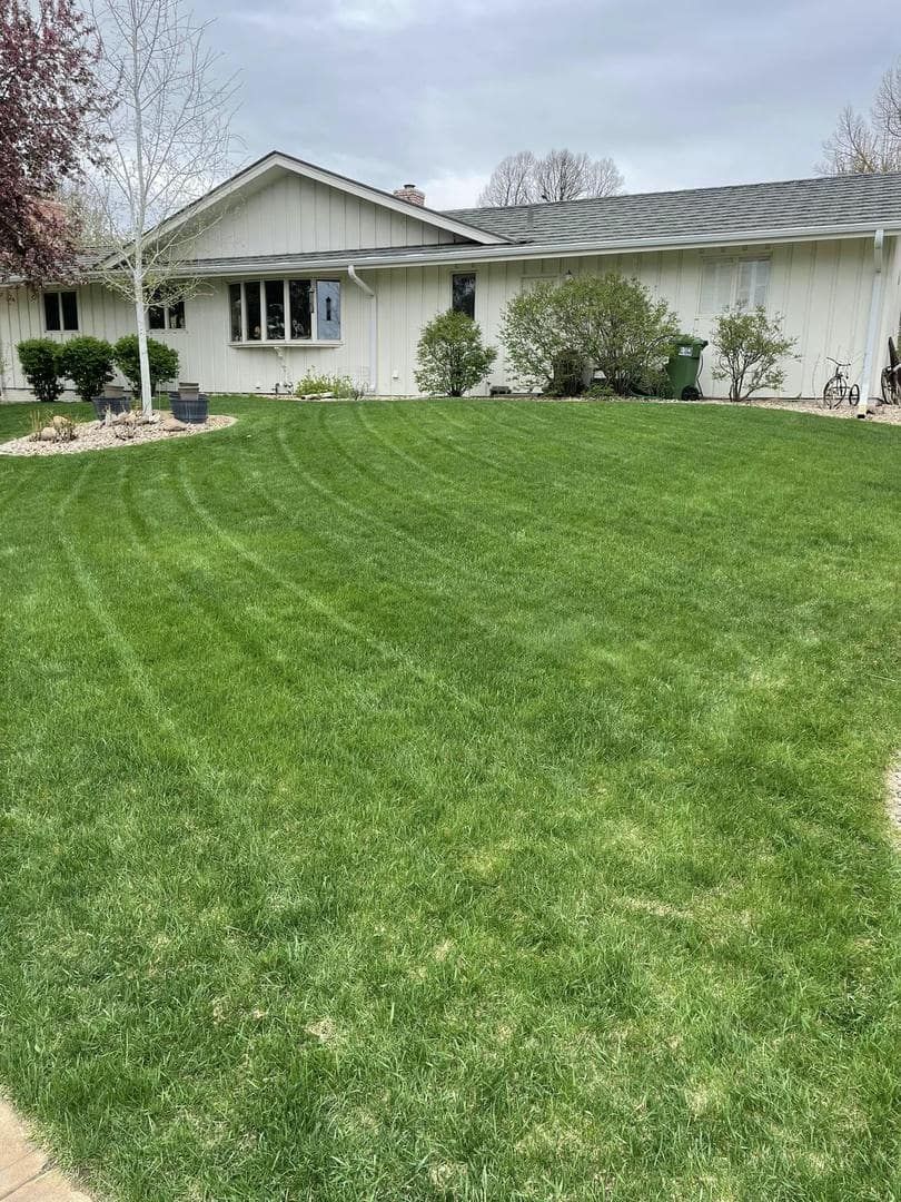 Lawn of a white house with a green trash can and some small bushes under a cloudy sky.