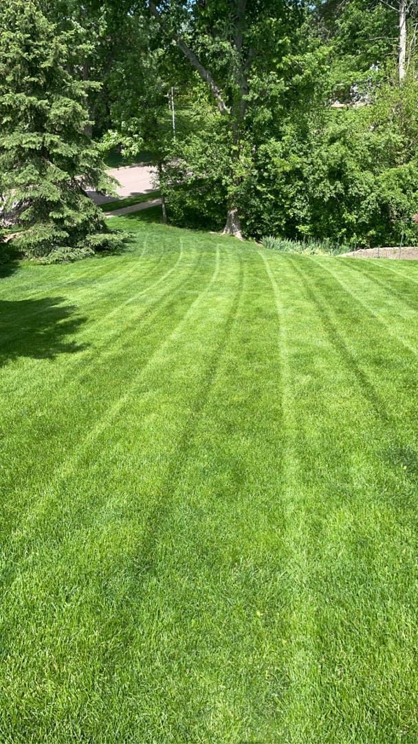 Lawn with striped pattern, bright green, surrounded by trees.