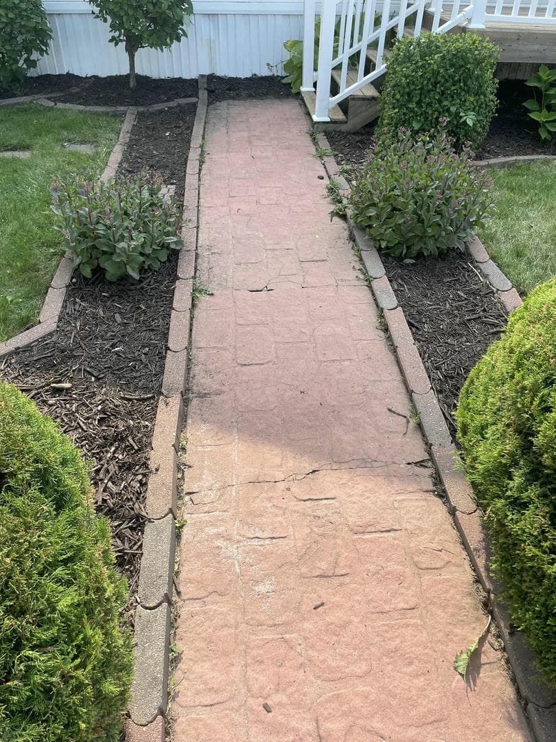 Brick walkway through flower beds lined with shrubs and dark mulch.