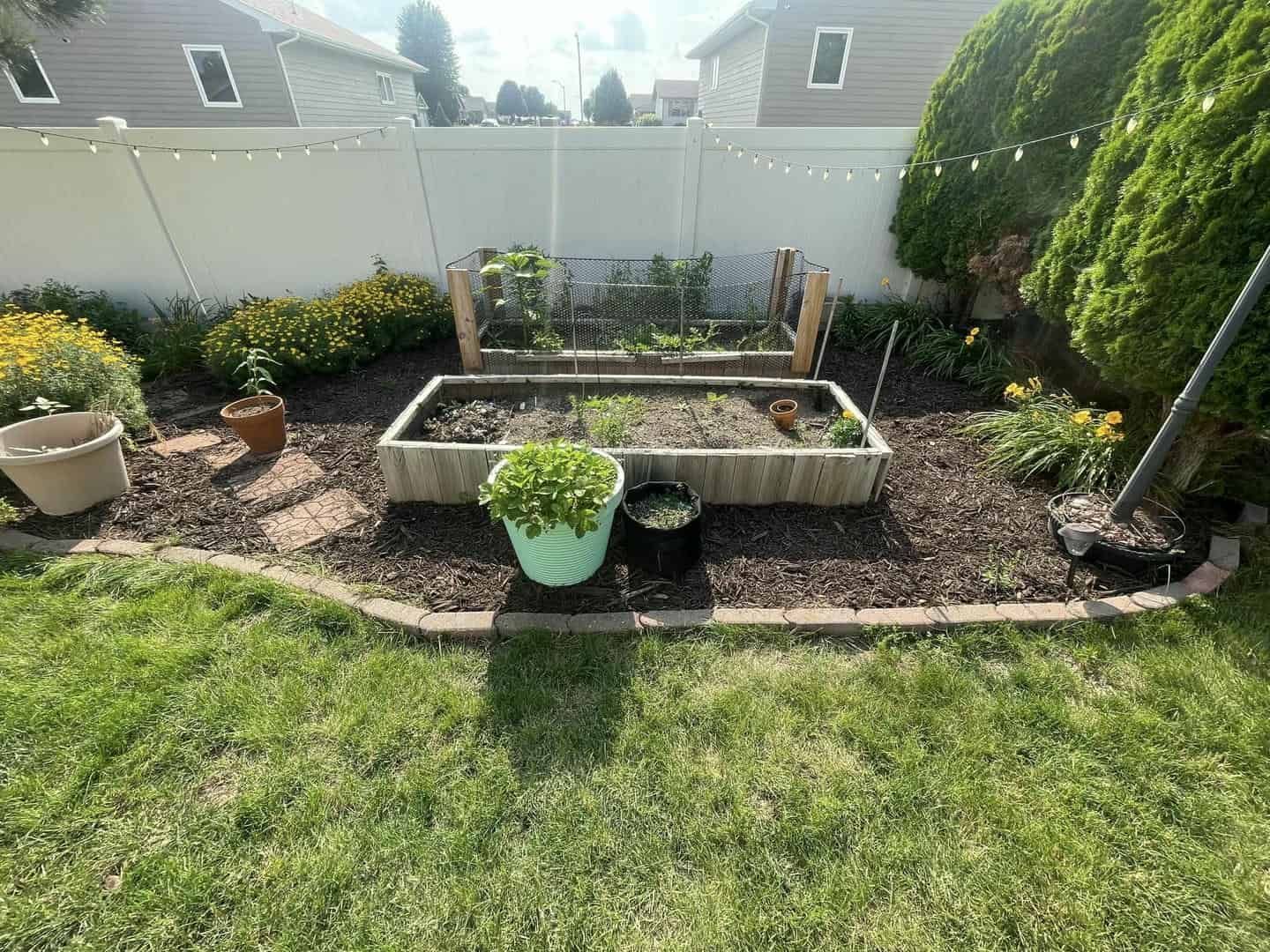 Raised garden bed with various plants, set in a backyard with white fence.