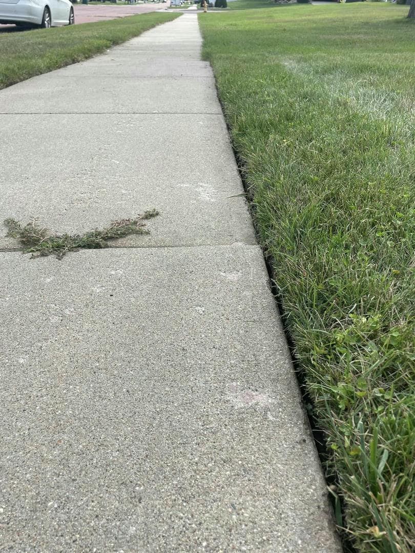 Concrete sidewalk next to green grass. Weeds growing in sidewalk cracks.
