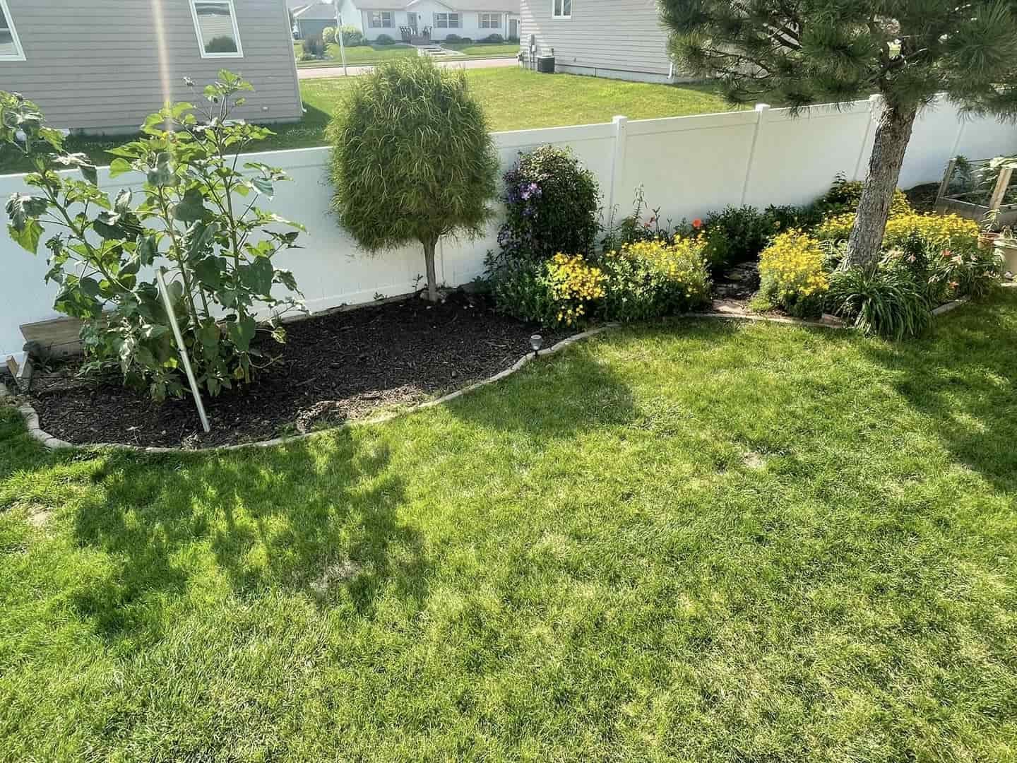 Lush green lawn with a flower bed of plants and trees against a white fence.