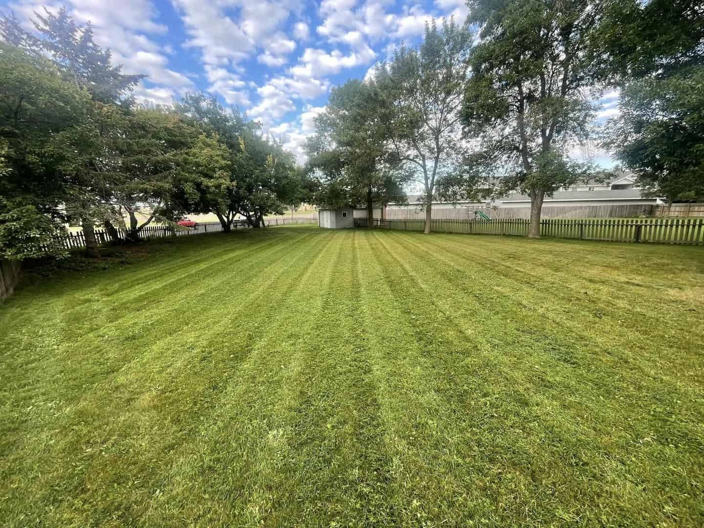 Lawn mowed with distinct stripes under a blue sky, trees on edges, and a white shed in the distance.