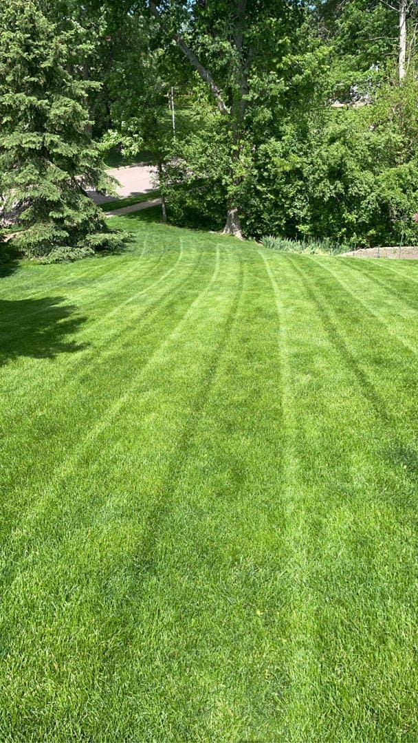 Lawn mowed with alternating stripes of light and dark green; trees in background, sunny day.