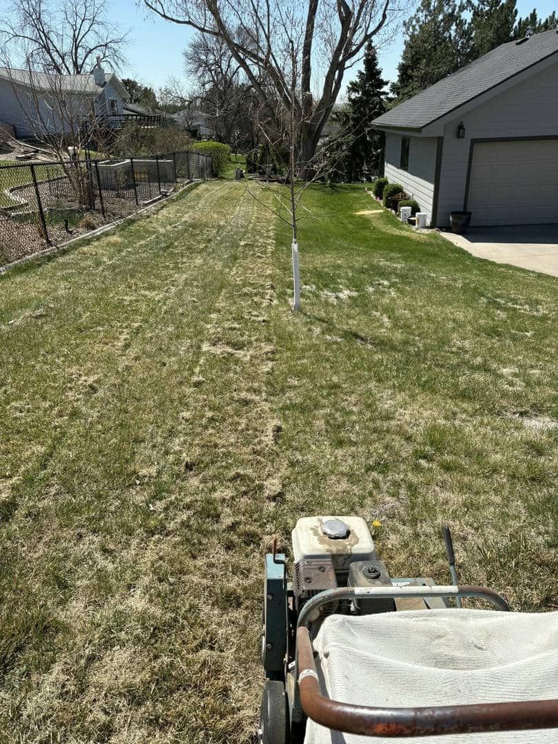 A lawn is aerated with a machine. The backyard has a tree, fence, and a house.