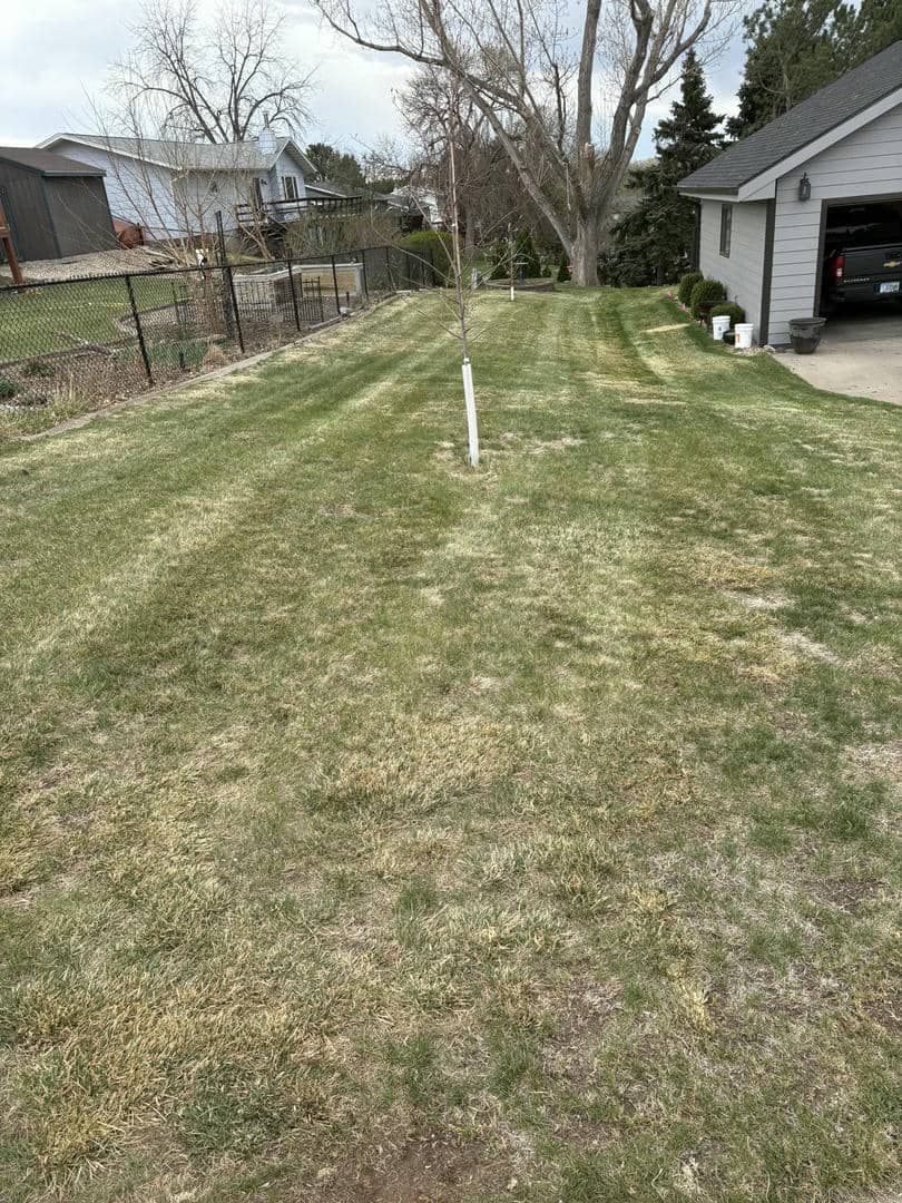 A lawn with patchy grass; a white pipe stands upright. Garage and houses in the background.
