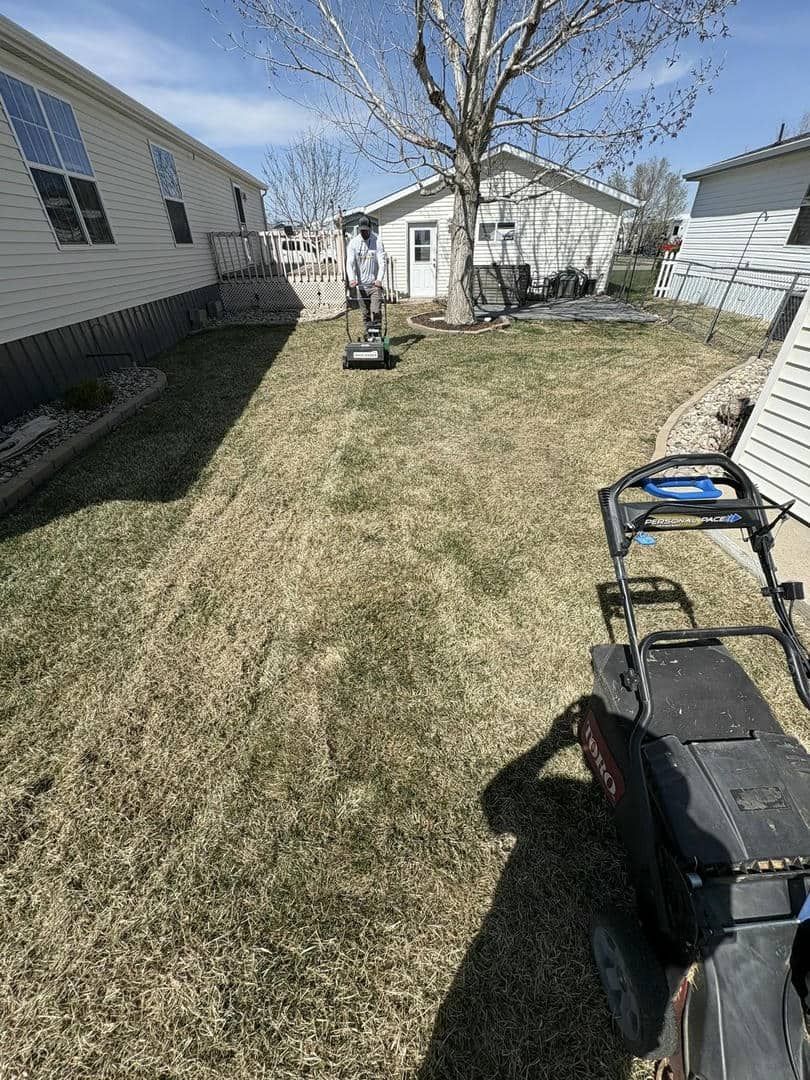 Person mowing a patchy lawn in a backyard with a house, tree, and shed visible. Sunny day.