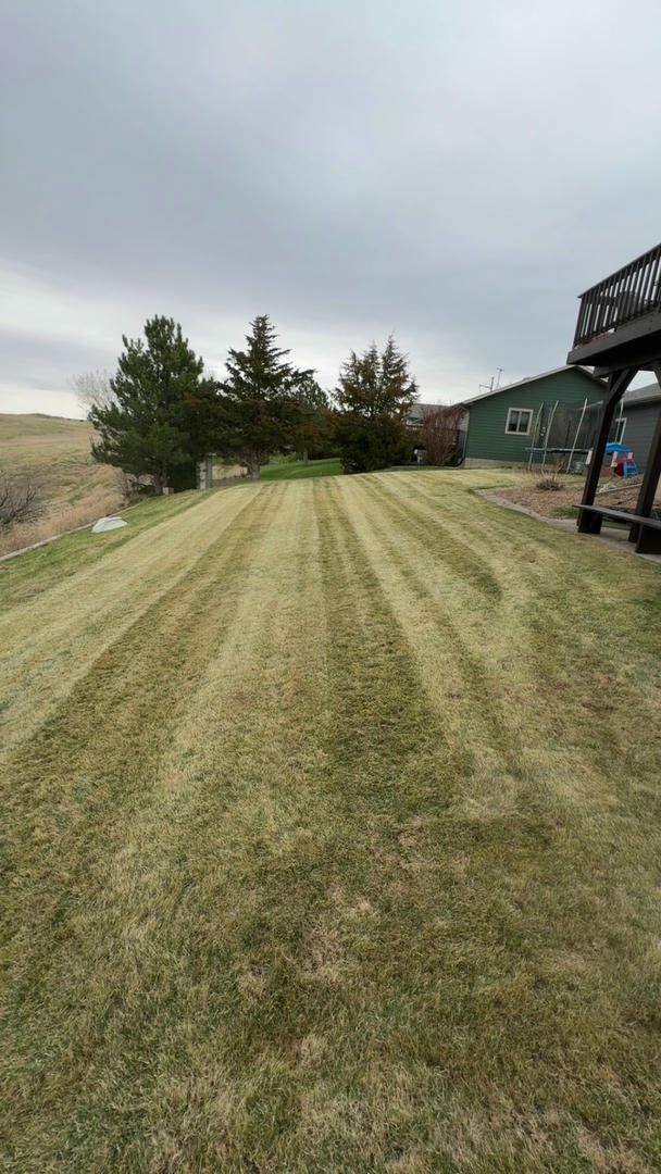 Lawn mowed with distinct stripes under a cloudy sky. Trees and a house are in the background.