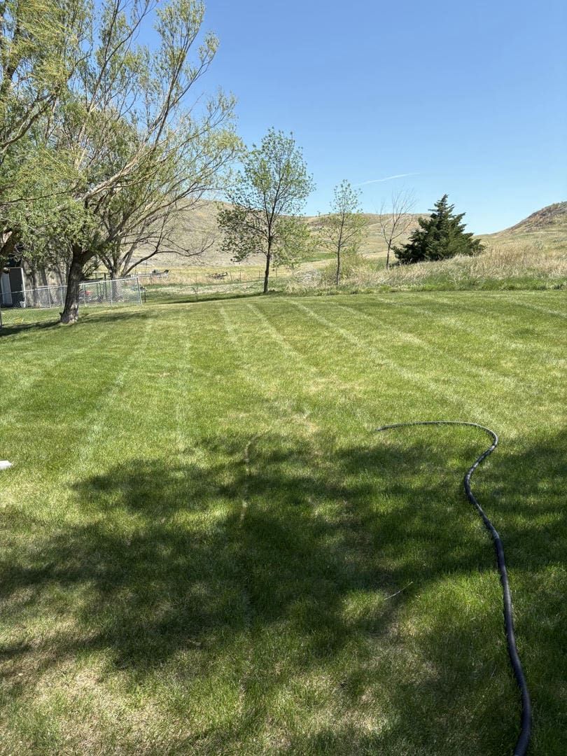 A mowed lawn in a yard, with trees on the left, and hills in the background on a sunny day.