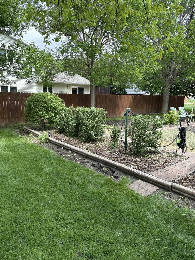 Lush green backyard with a trimmed hedge and brick border in front of a wooden fence.
