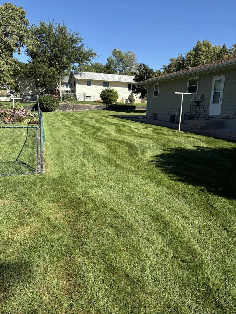 Lawn with freshly cut stripes. Houses and trees in the background under a blue sky.