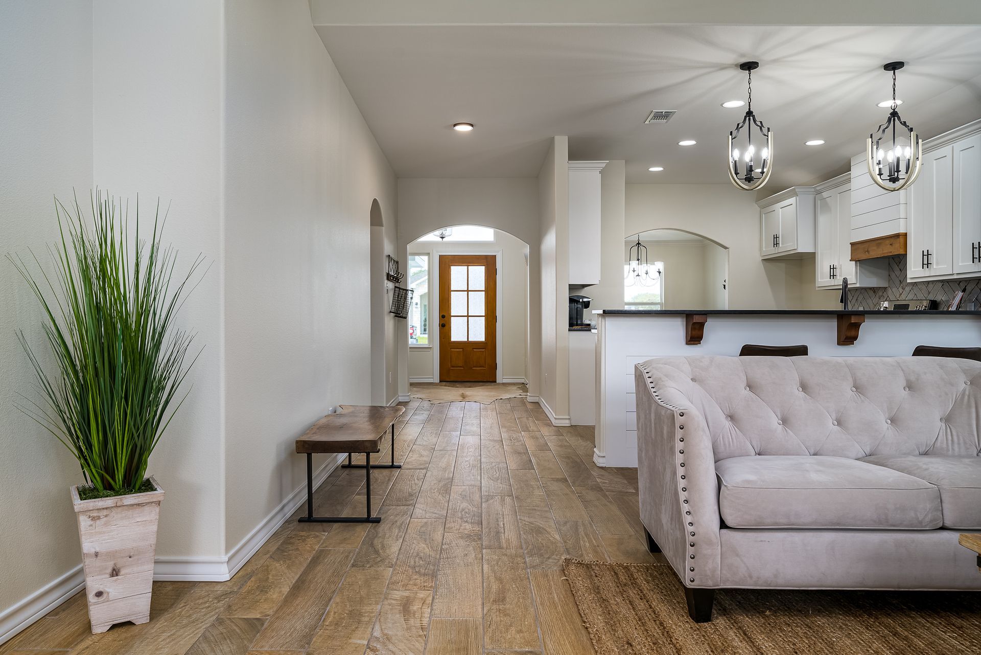 A living room with a couch and a potted plant