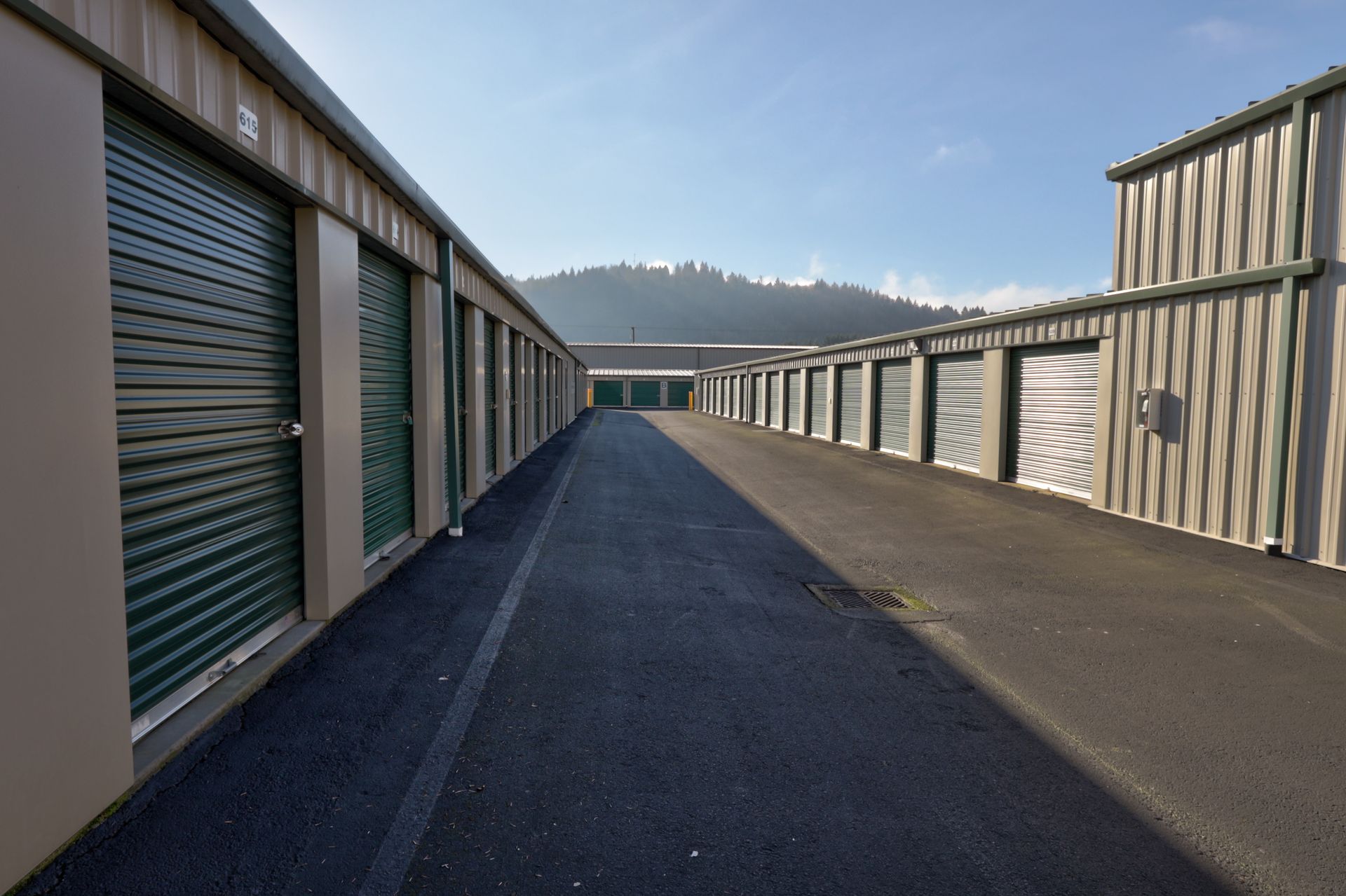Storage units in rows along a paved road, mountain in the background.