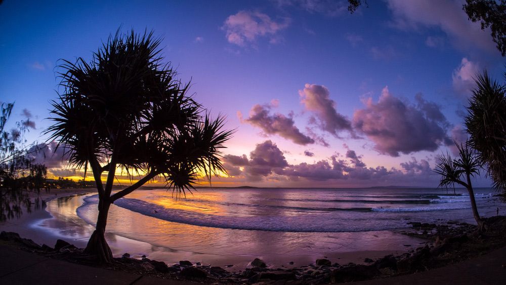 A Sunset Over a Beach with A Tree in The Foreground — Artizen Curtains in Mooloolaba, QLD