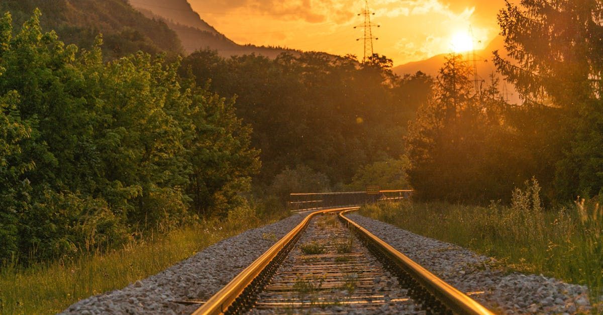 A train track going through a forest at sunset.