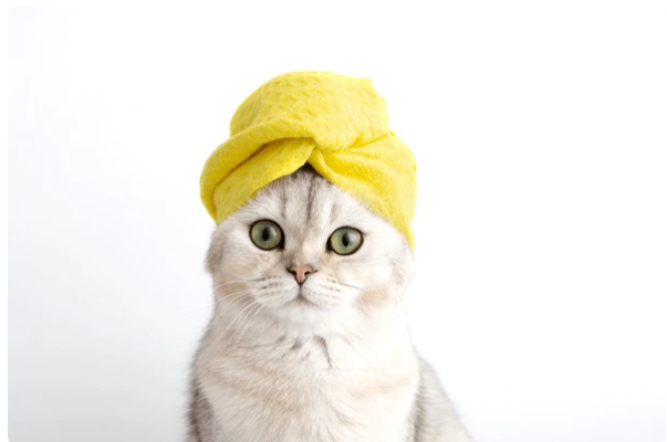 A cat wearing a welding helmet is sitting in a chair