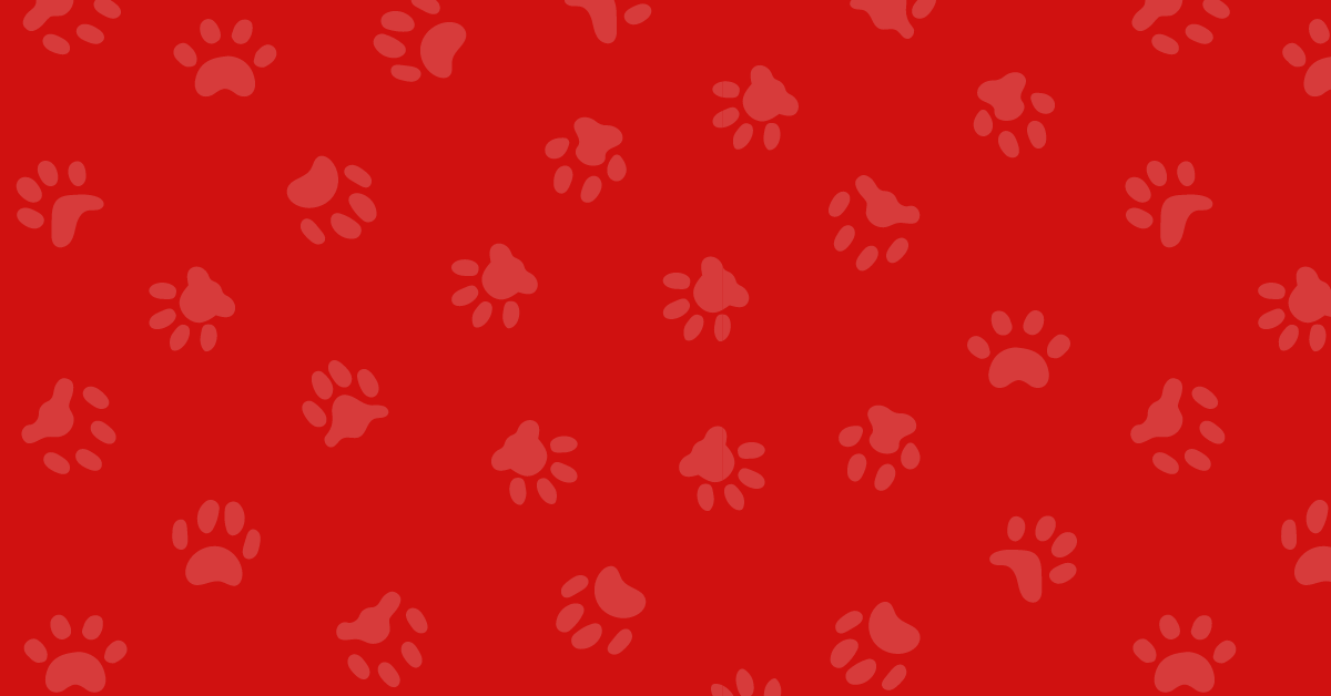 A seamless pattern of paw prints on a red background.