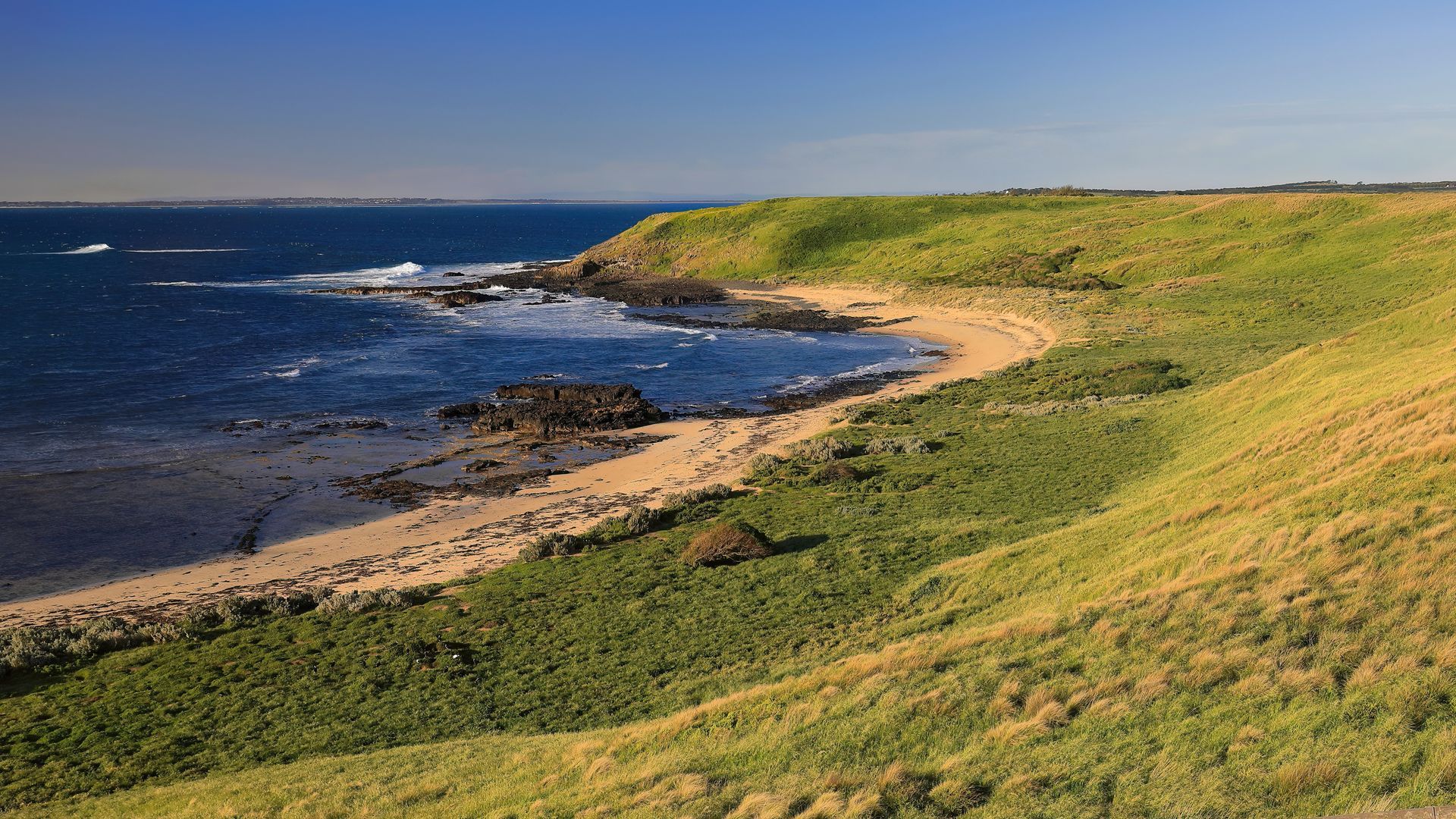 Grassy Coastal Cliff Overlooking a Sandy Cove  — MJ's Mobile Car Mechanic In Fairy Meadow, NSW