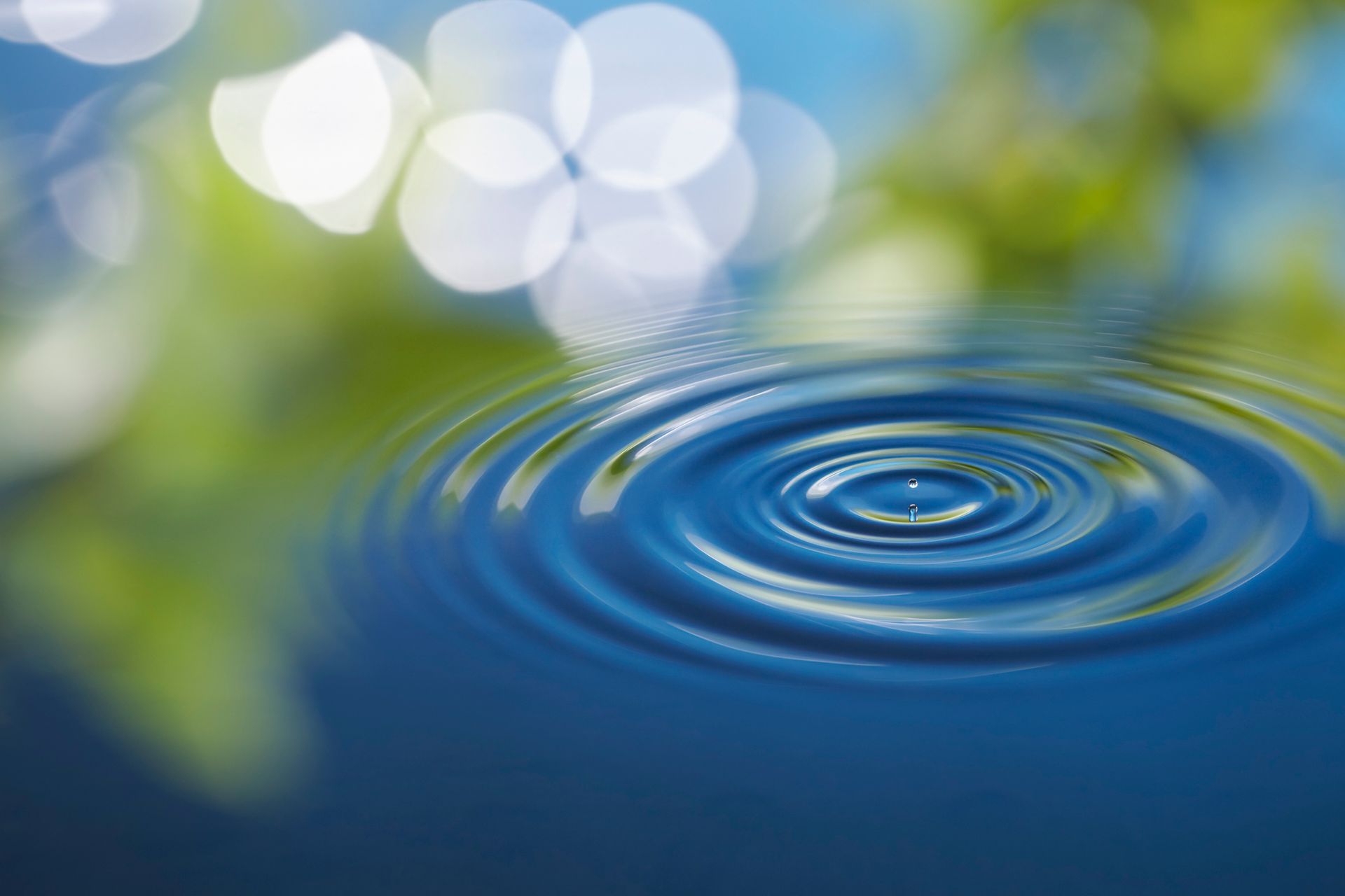 Ripples expanding outwards in blue water, blurred green and white bokeh in background.