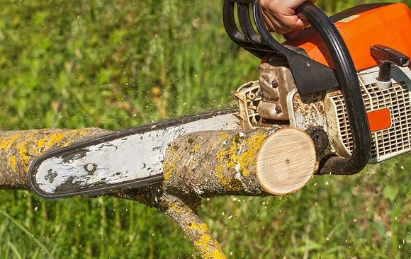 Man Cutting a Tree Branch with Chainsaw — Licensed Arborist Lismore, NSW