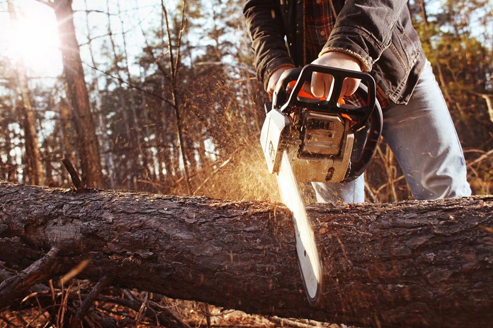 Working With Chainsaw In The Forest — Green’s Tree Lopping in Rous Mill, NSW