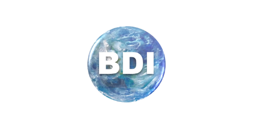 a blue globe with the word bdi written on it