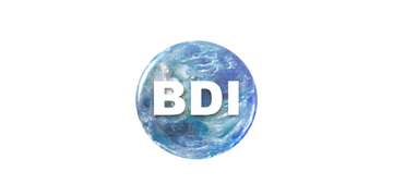 a blue globe with the word bdi written on it