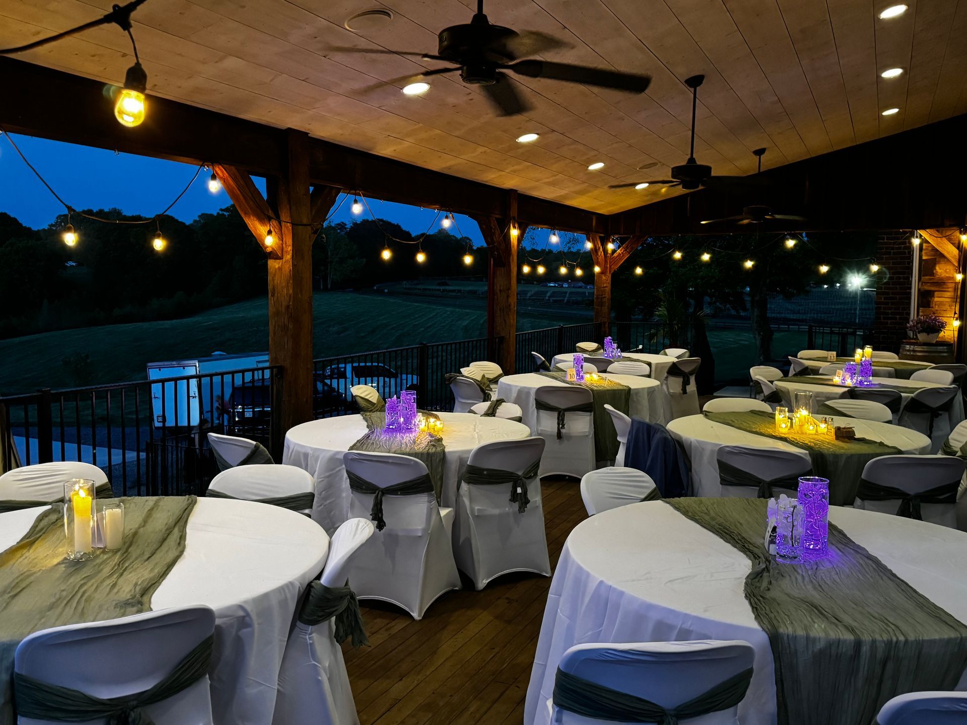 A bunch of grapes hanging from a vine with a butterfly on it.