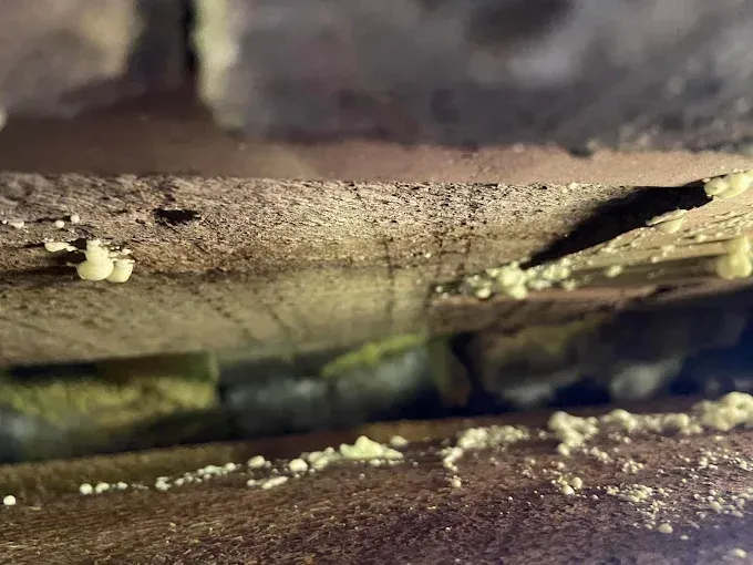 Close-up of brick wall cavity with wood beams, yellow expanding foam, and insulation.