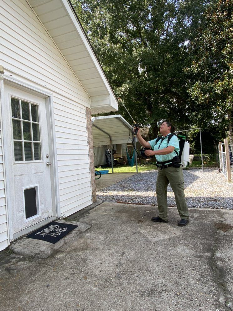 A person sprays insecticide on the side of a white building to kill pests.
