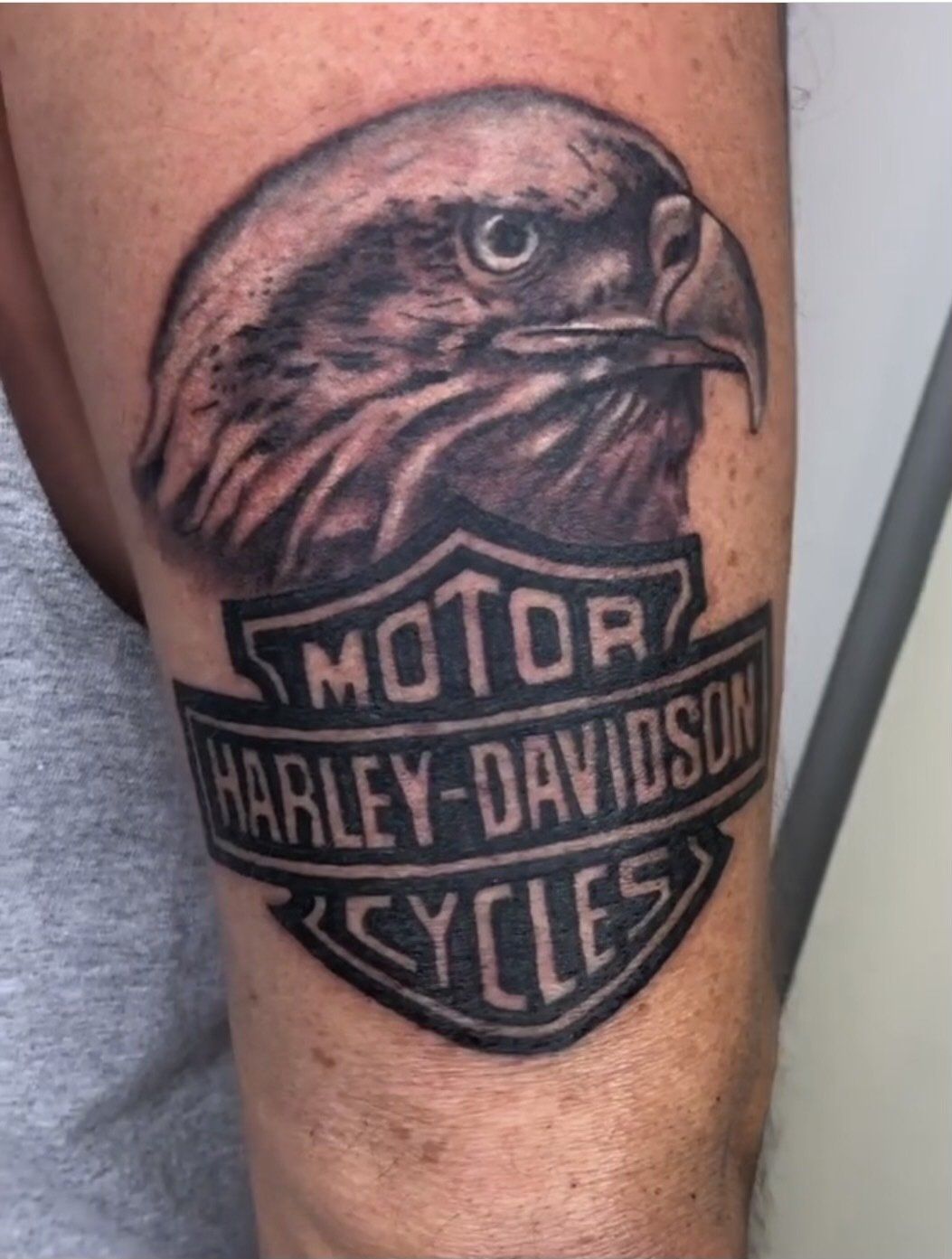 Eagle head — Little Rock, AR — Seventh Street Tattoos & Piercing