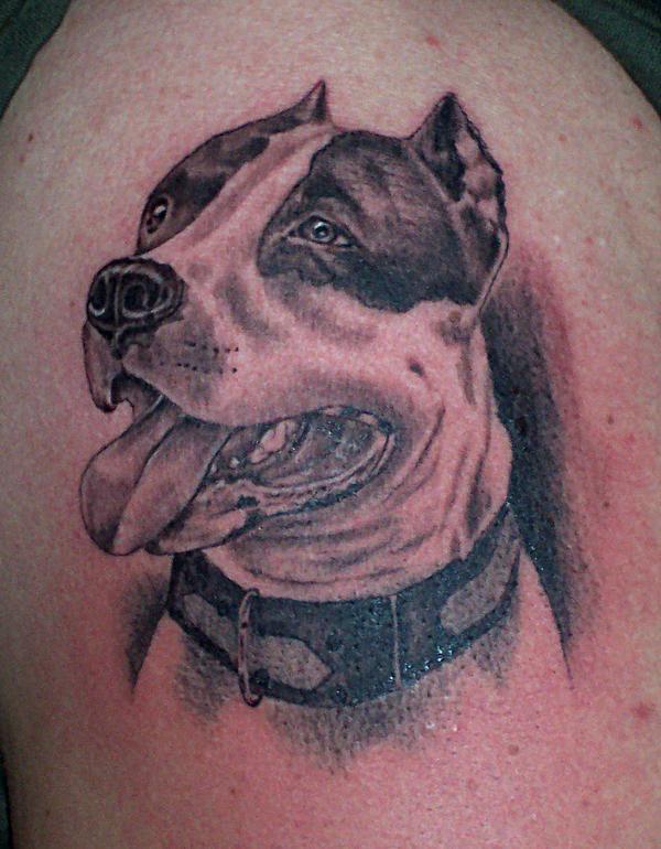 Bulldog tattoo — Little Rock, AR — Seventh Street Tattoos & Piercing