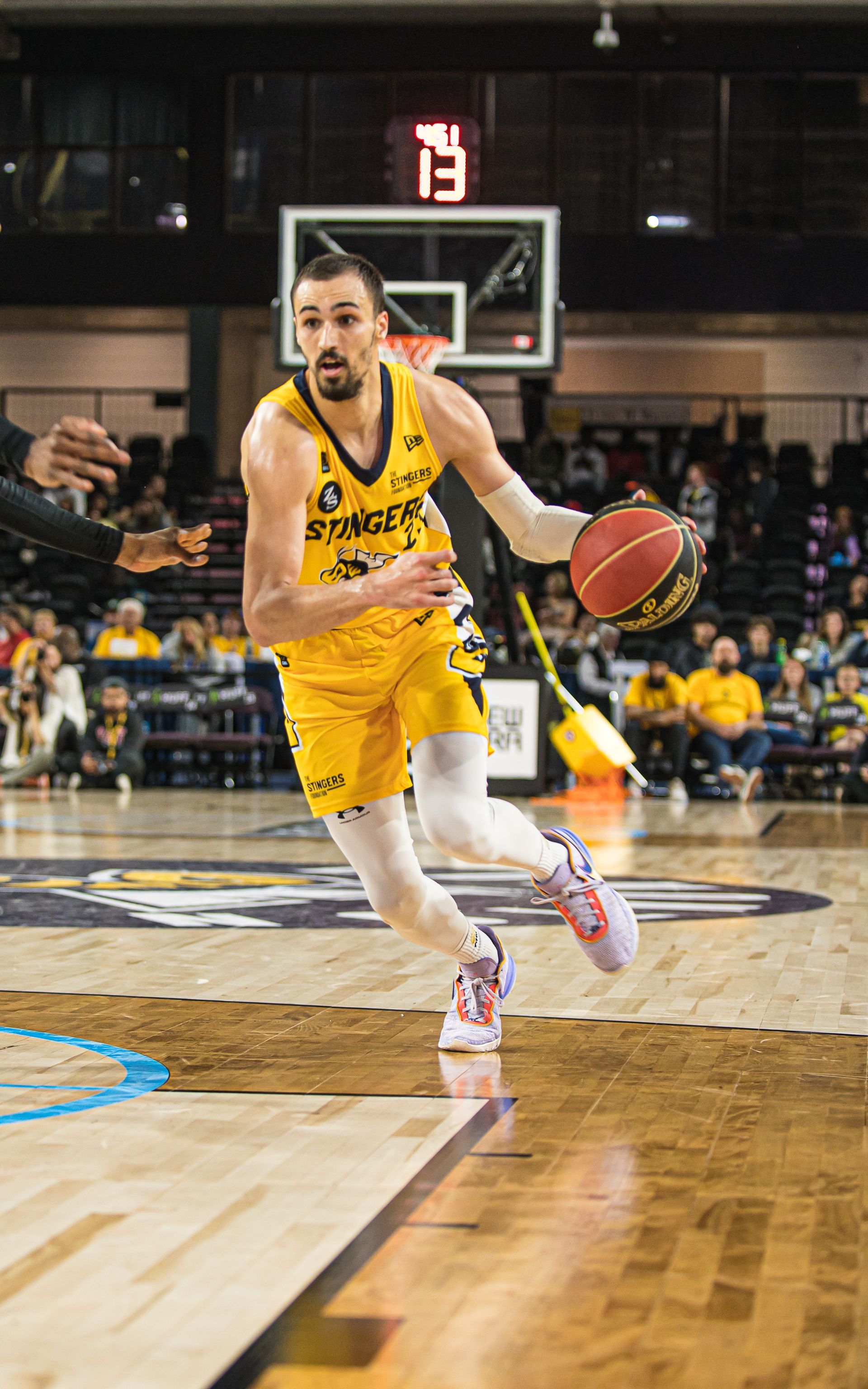 Stingers Release 2023 Protected Player List