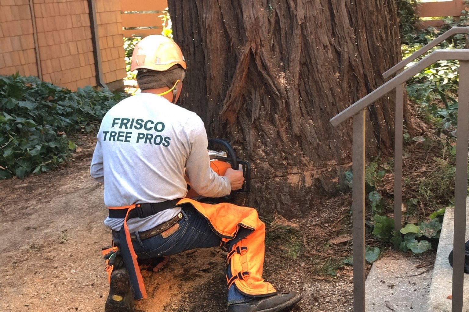 Man in safety gear cutting tree trunk with chainsaw. 