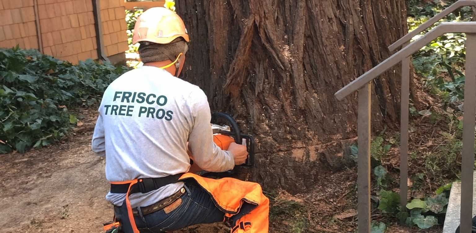 A tree service worker in safety gear cuts a tree trunk with a chainsaw.