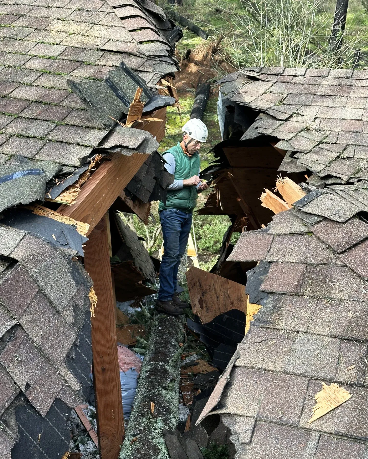 Person in a hard hat stands on a fallen tree splitting a damaged roof.