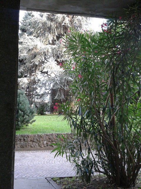 giardino del centro estetico