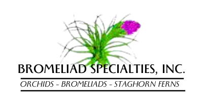Bromeliad Specialties logo
