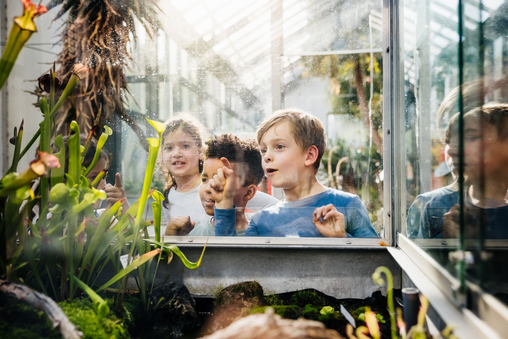 Three young children, amazed by the plants inside an exhibition while on a road trip. Three young children, amazed by the plants inside an exhibition while on a road trip.