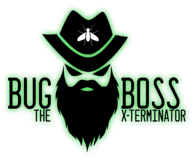 Bug Boss The Pest X-Terminator