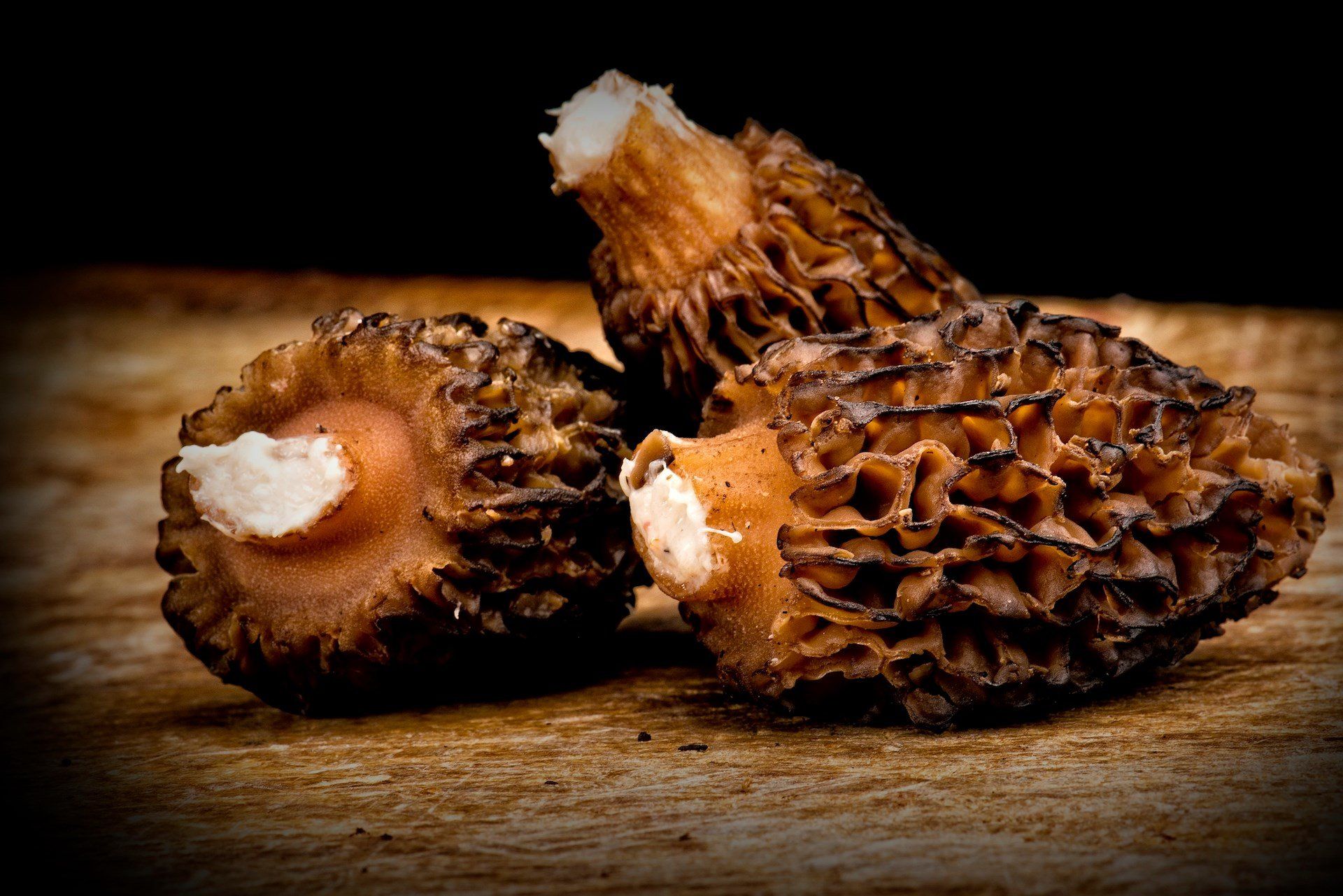 boucherie d'onex morilles