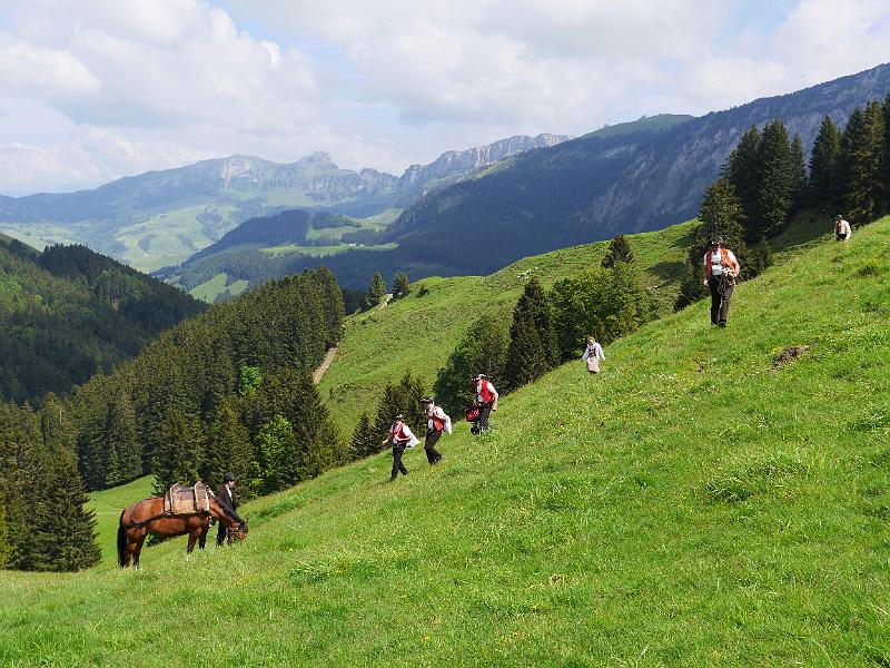 photo de bergers dans la montagne avec un cheval