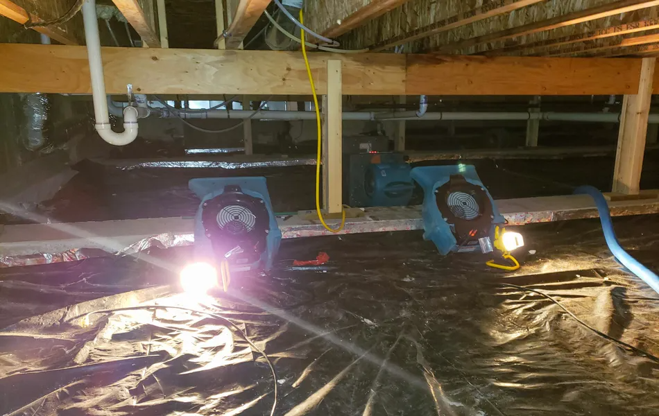 Two fans and a light illuminate a dark crawl space covered in black plastic.